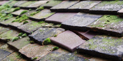Kingcoed roof repair costs